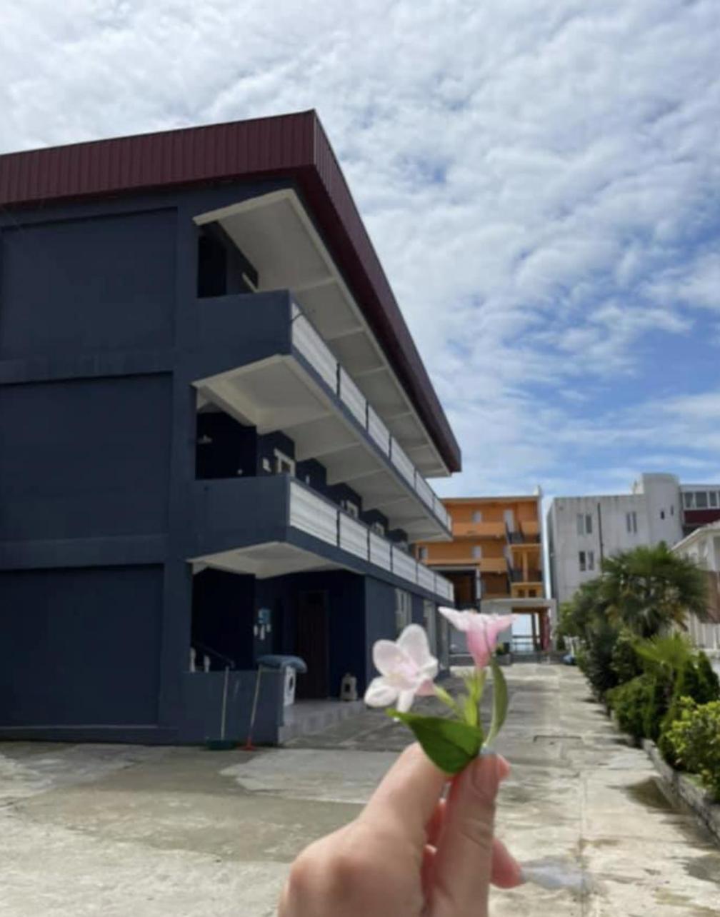 Sun Kissed Hotel Kobuleti Ngoại thất bức ảnh